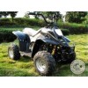 110CC沙灘車恐龍款四輪摩托車超低價(jià)越野車